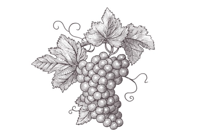 Grape Cluster 3